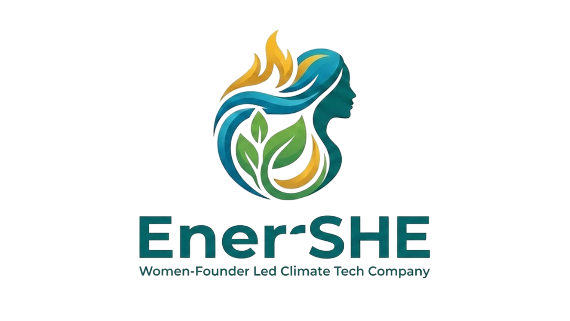 Company Profile